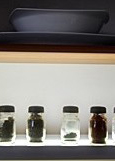 Světelná LED diodová dna kuchyňských linek