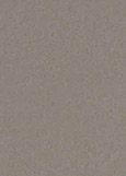 XF2628 - zinek
