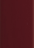 LACOBEL RAL 3004