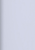 LACOBEL RAL 9003